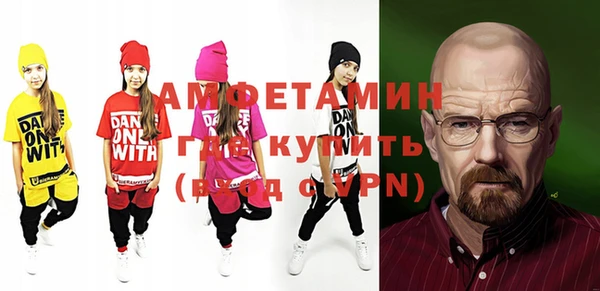 шишки Арсеньев