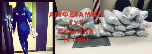 шишки Арсеньев