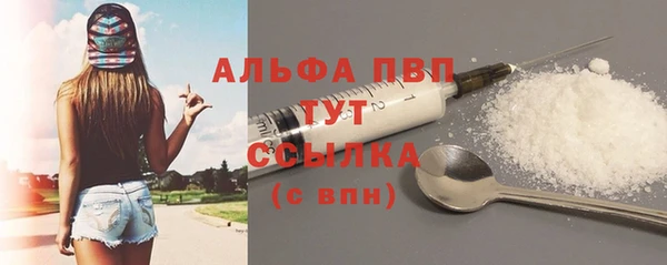 шишки Арсеньев