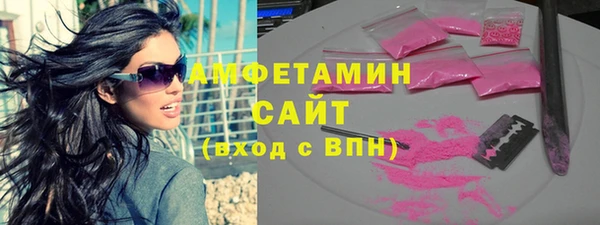 шишки Арсеньев