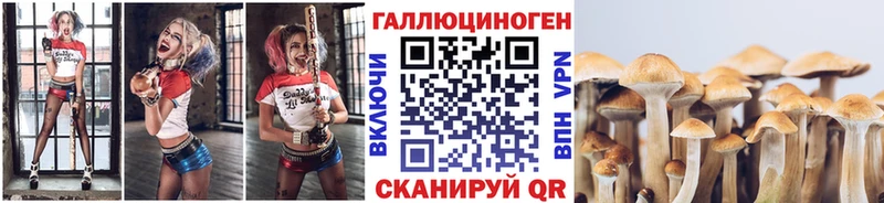 Галлюциногенные грибы ЛСД  Багратионовск 