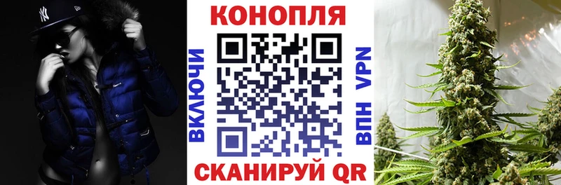 Канабис гибрид  Багратионовск 